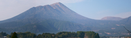 Miyazaki