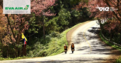 Chiang Mai - miesto, kde začína thajské dobrodružstvo