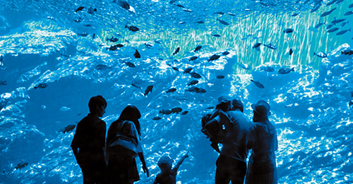 Uminomori Aquarium Sendai